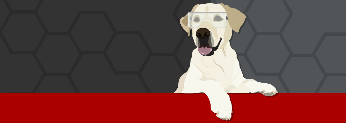 Not Your Average Lab