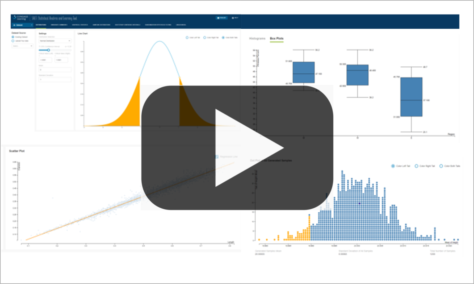 Statistical Analysis and Learning Tool (SALT) for WebAssign